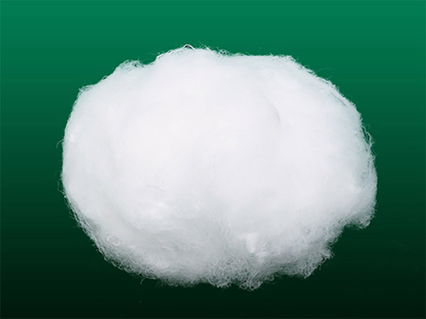 nylon 6 staple fiber